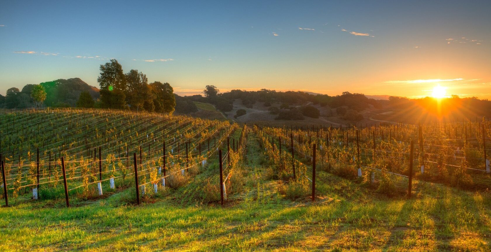 Farm-to-Table Wineries in California