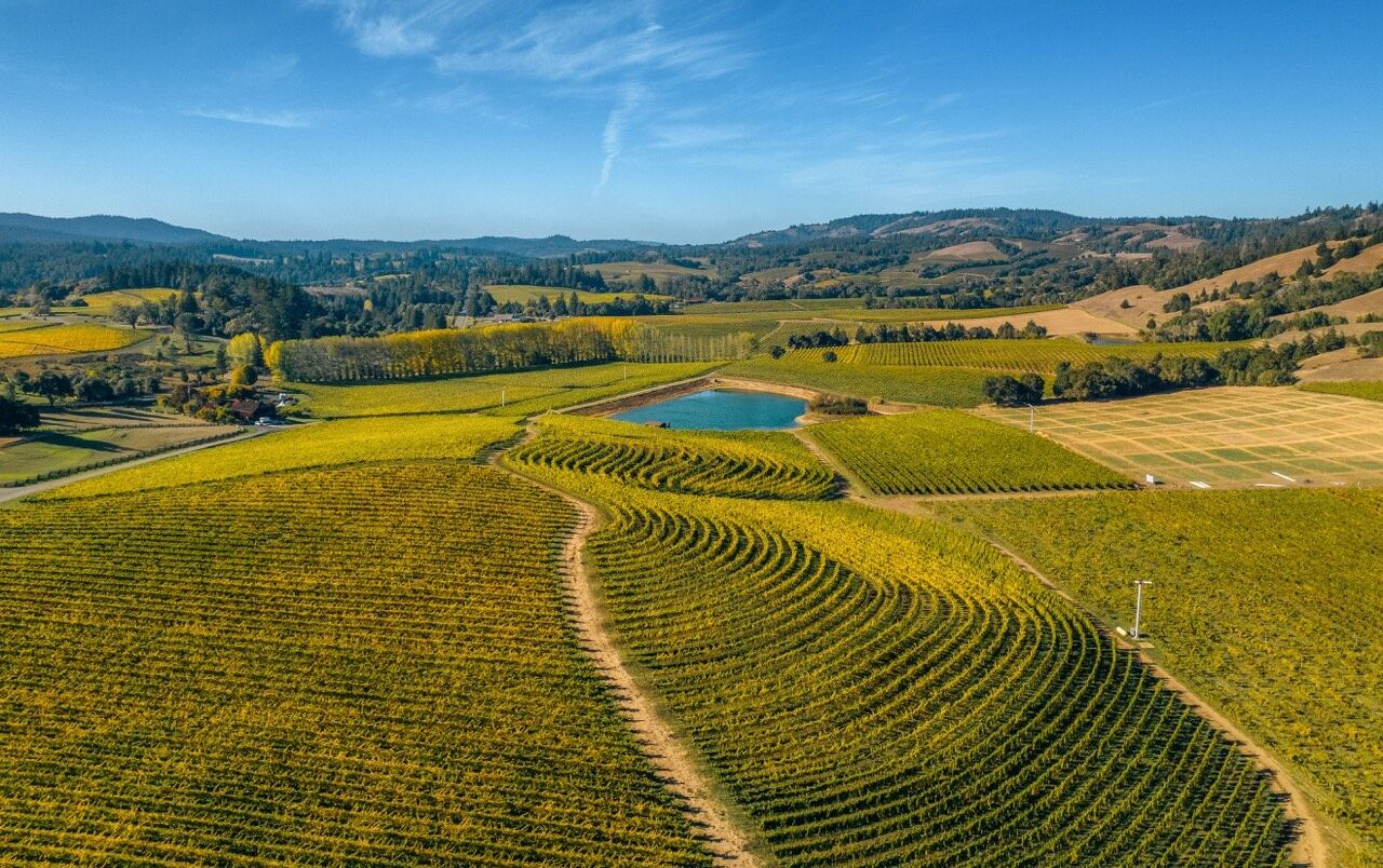 Anderson Valley Winery