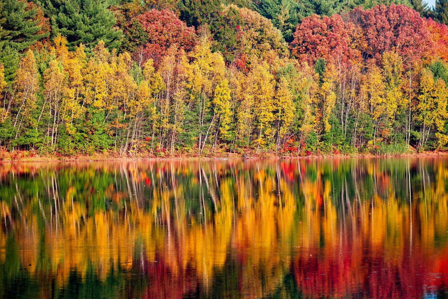 New England Autumn Leaves