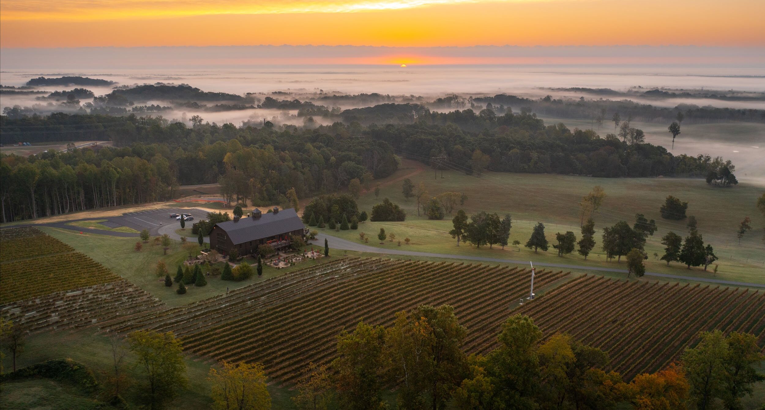 Southwest Mountain Vineyard - Virginia