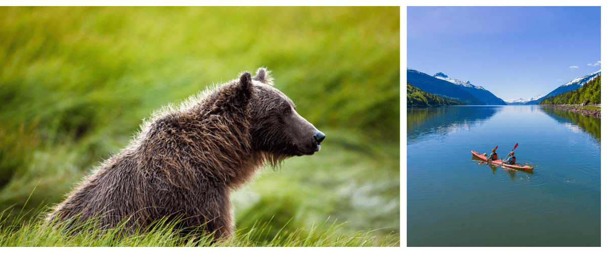 Family Road Trips - Alaska